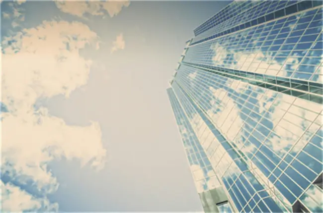 黑头雕象征什么含义